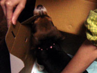 1108967071_200x150.jpg 200��150 7K