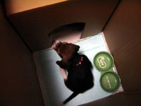 1108967376_200x150.jpg 200��150 5K