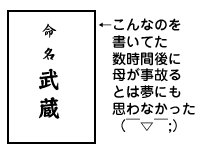 1108967632_200x150.gif 200��150 3K