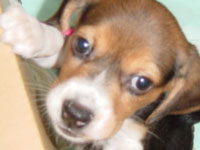 1108967791_200x150.jpg 200��150 7K