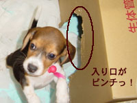 1108967969_200x150.jpg 200��150 8K