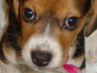 1108968132_200x150.jpg 200��150 8K