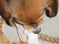 1108968295_200x150.jpg 200��150 7K