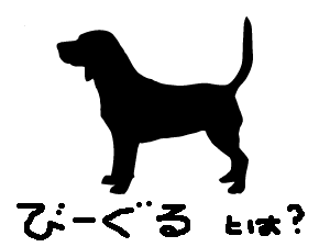 1109048866_200x150.gif 300��225 2K