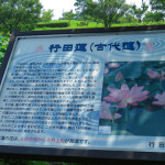 012 150x150 古代蓮