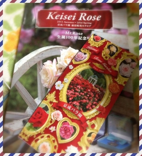 20131110 01 480x525 KSB