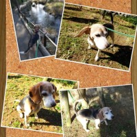 今日のじゃない武蔵