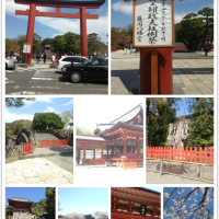 11282127 071 200x200 お花見