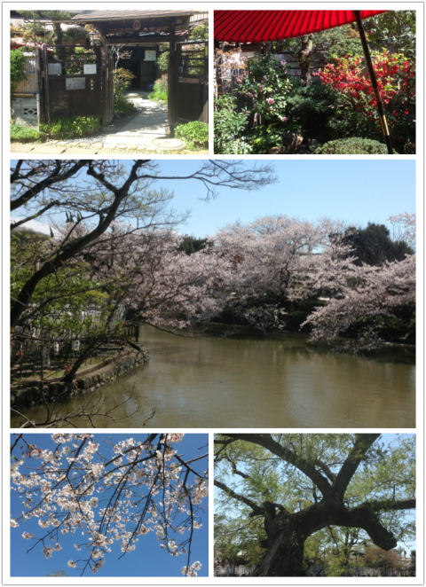 11282127 072 480x662 追加の写真