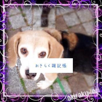 今日の武蔵 20140427 144020 350x350 今日の武蔵