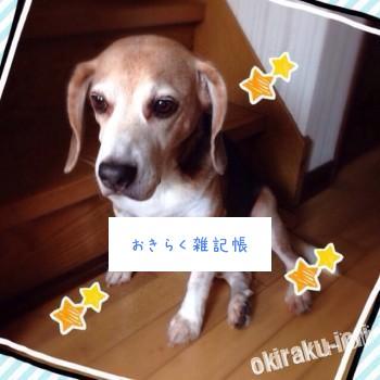 20140503 213843 350x350 今日の武蔵