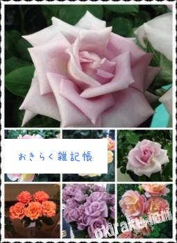 image 255x350 第16回国際バラとガーデニングショウ