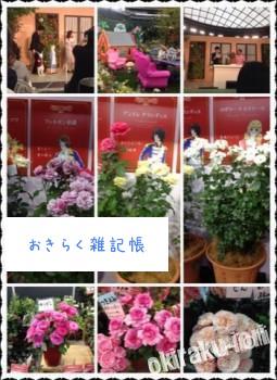 image2 255x350 第16回国際バラとガーデニングショウ