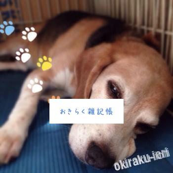 20140614 124649 350x350 今日の武蔵