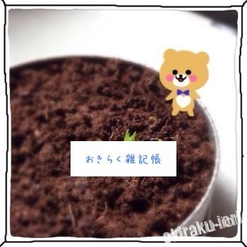 20140711 104120 350x350 マルさぼ