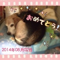 はっぴーばーすでー♪