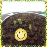 大幅に遅れて3つ目が【マルさぼ】