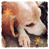 今日の武蔵【絵っぽい加工】