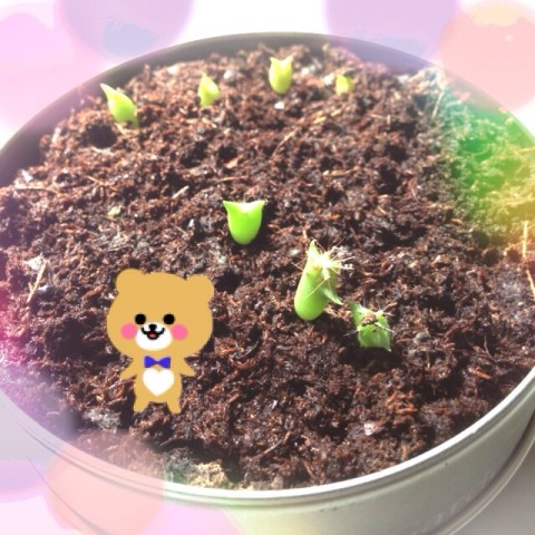 image17 480x480 あれよあれよと言う間に【マルさぼ】