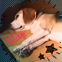 今日の武蔵さん