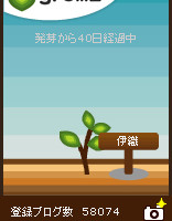 グリムス(gremz)４本目 40日