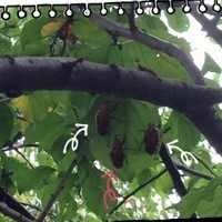 とうとうなくなっちゃったー