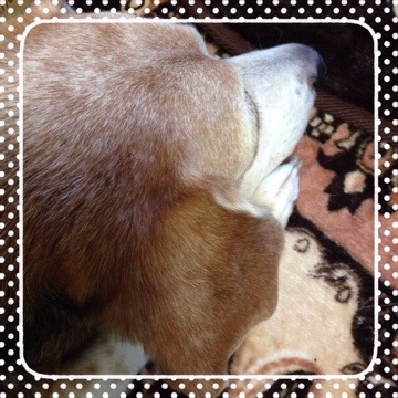 今日の武蔵 20141024 115508 今日の武蔵