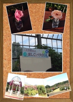 秋バラの咲くローズガーデンで「香りのバラ」をめぐってきました(京成バラ園) 20141026 012046 秋バラの咲くローズガーデンで「香りのバラ」をめぐってきました(京成バラ園)