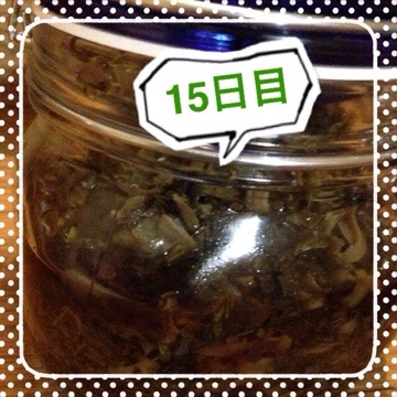 ハンガリアンウォーター15日目 20141026 233858 ハンガリアンウォーター15日目