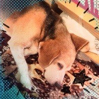 今日の武蔵さん