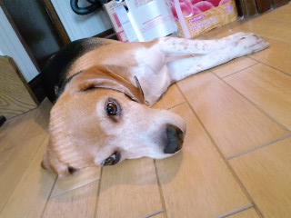 20100718 03 素敵写真(笑)