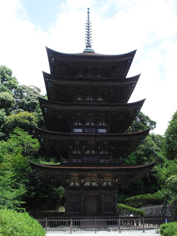 20100729 05ruri1 あらためてふりかえってみる2