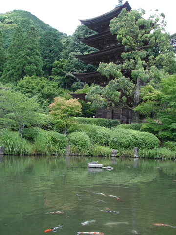 20100729 06 ruri2 あらためてふりかえってみる2