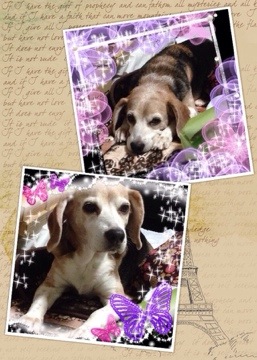 今日の武蔵 20141102 200440 今日の武蔵