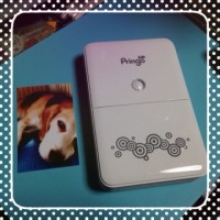 20141127 184637 200x200 結局Pringoを買いました
