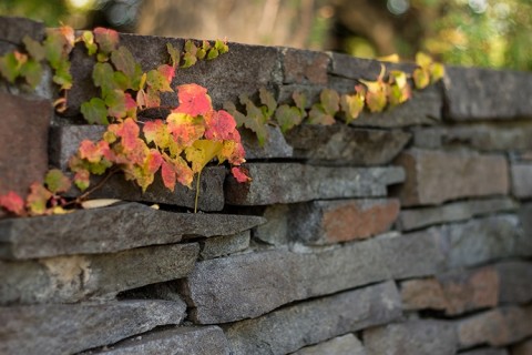 ishinoheitotuta 480x320 つぶやきまとめ