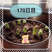 マルさぼ170日目