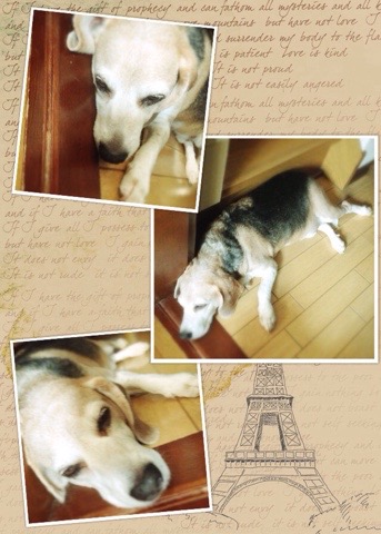 20150528 152049 暑い日の武蔵