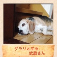 日曜日の武蔵さん