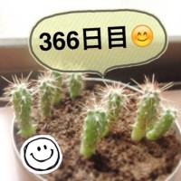 マルさぼちゃん366日目