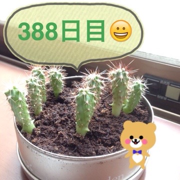 20150723 115806 マルさぼ388日目