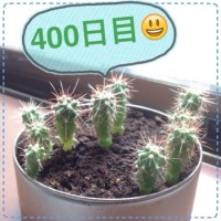 マルさぼ400日目