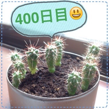 20150804 111010 マルさぼ400日目