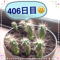 マルさぼ406日目