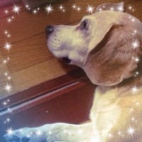 この前の武蔵さん