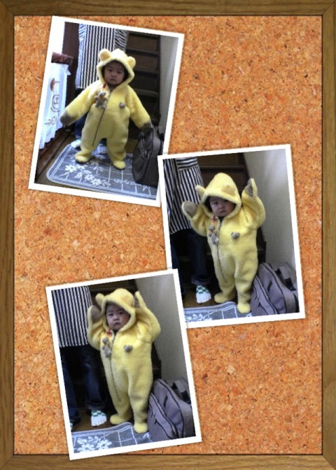 hinakuma 480x672 あったかくまさん4