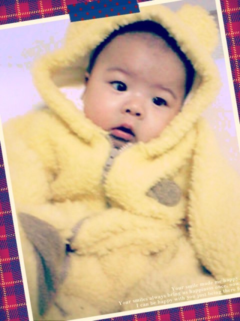 ruikuma 480x640 あったかくまさん4