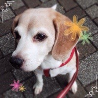 今日の武蔵さん