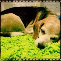 昨日の武蔵さん