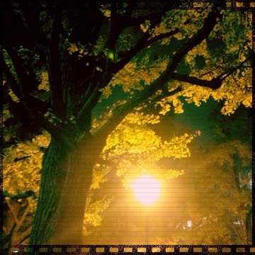 20151124 214305 納祭塾に参加しました